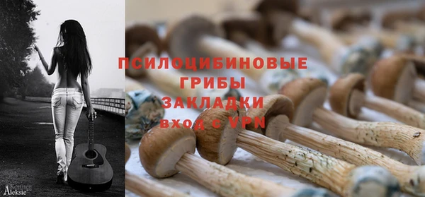соль ск Покровск
