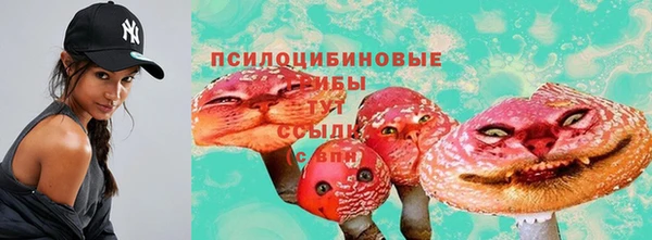 соль ск Покровск