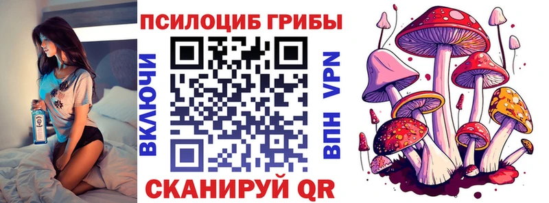 кракен как войти Свободный Псилоцибиновые грибы мицелий